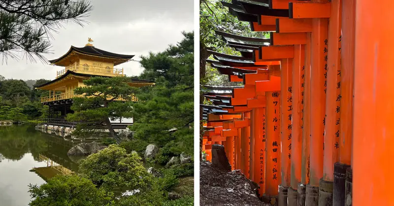 京都旅拍日记 - 今日吃瓜